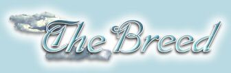 The Breed