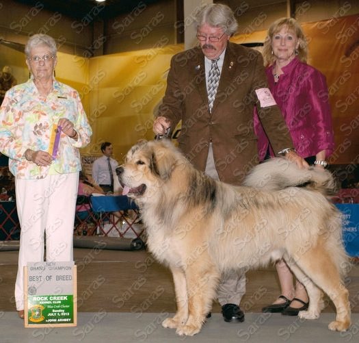 AKC GCH Saras Himalaya Aslan