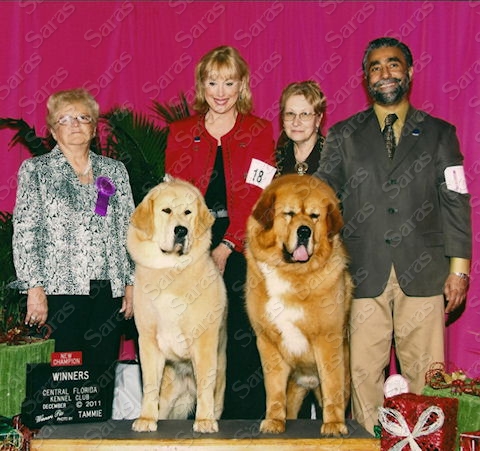 CH Comancheria's Chesapeake at Saras