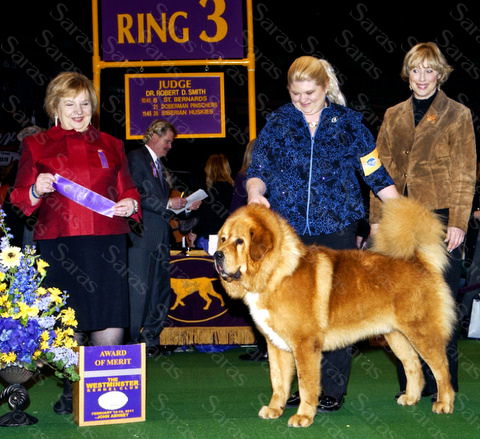 AKC GCH Samrat of Saras